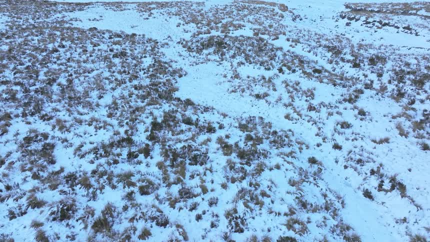 A grassland is covered in snow during winter at midday