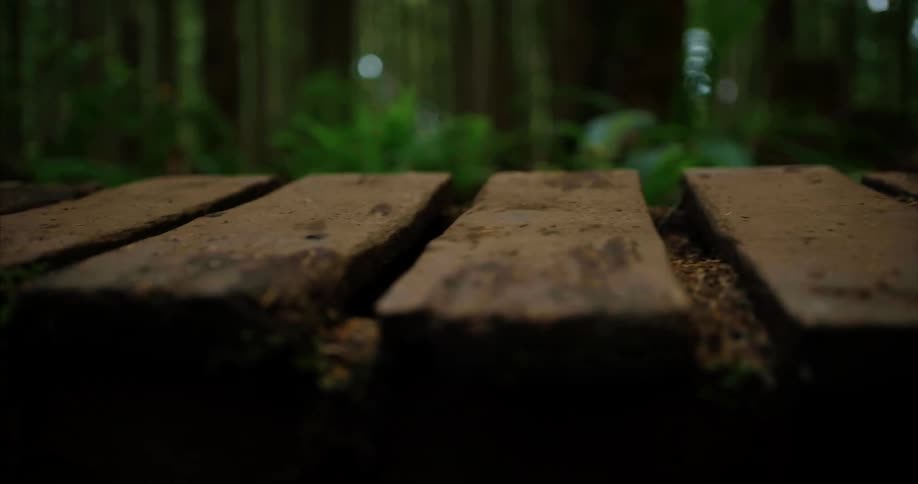 A wooden bridge path in the woods is surrounded by trees with a person walking on it