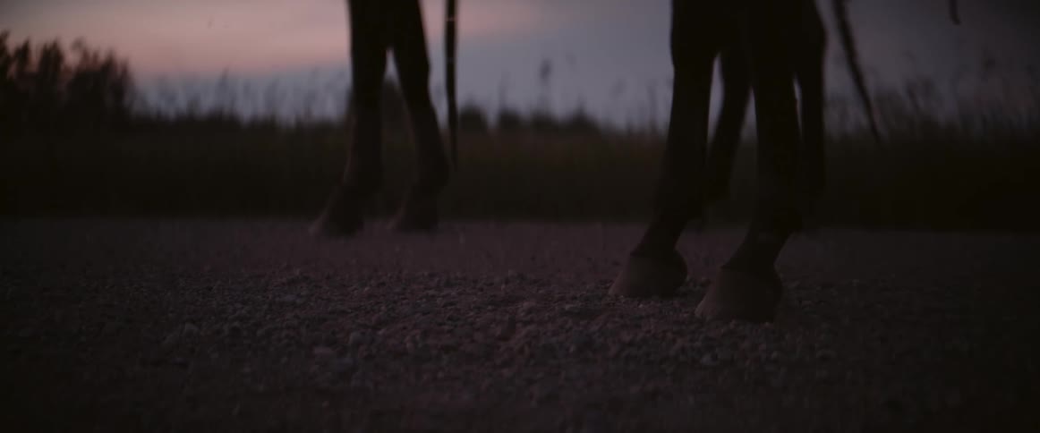 The video shows a lowangle shot focusing on the hooves of two horses as they stand or slowly move on a gravel path at dusk the sky in the background shows faint colors of a setting or rising sun