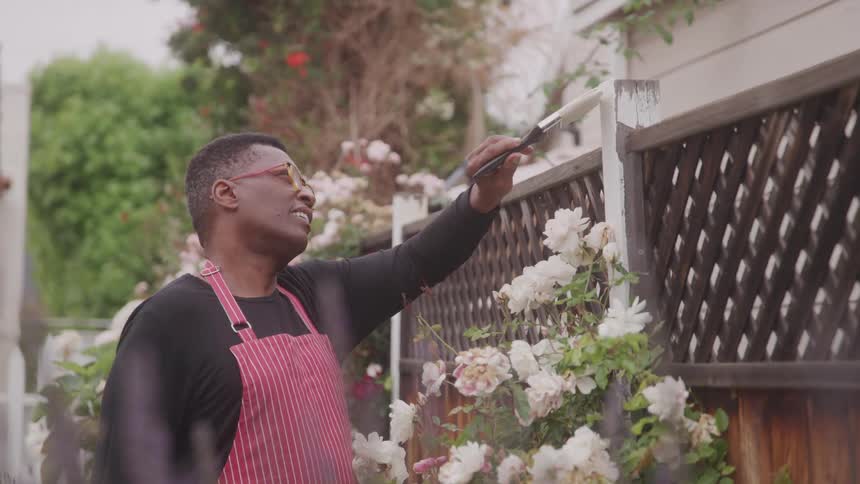 A smiling man wearing an apron and glasses is actively painting a wooden fence adorned with white roses in a bright outdoor setting