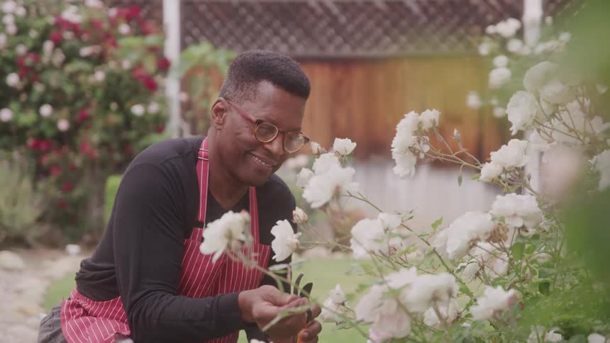 A middleaged man in a garden cares for a plant with blooming flowers smiling as he wears a red apron and clear glasses at midday