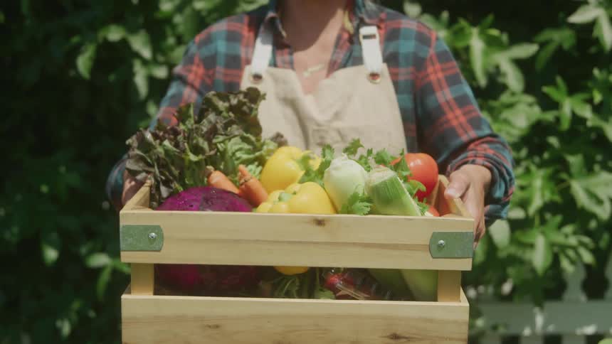 The woman is holding a crate of vegetables