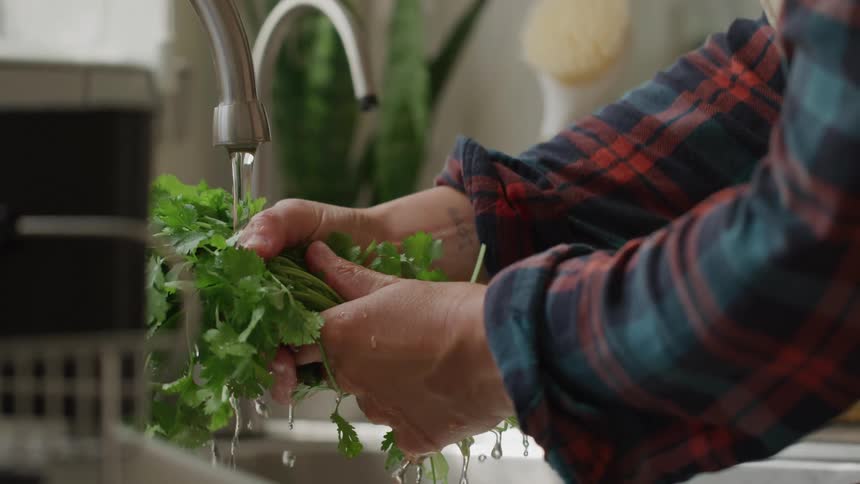 A person wearing a red and blue plaid shirt is seen washing a bunch of fresh green cilantro under running water from a kitchen faucet water drips from the leaves into the sink indicating the thorough cleaning of the herbs