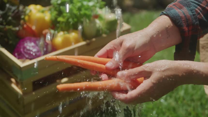 Pair of hands washing carrots under running water