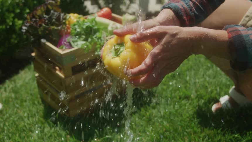 Pair of hands washing a yellow bell pepper outdoors in running water