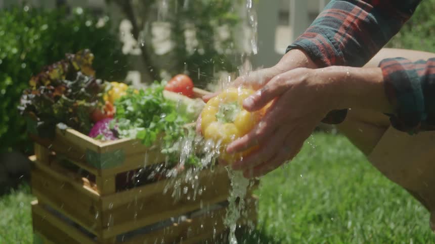 Person washing a yellow bell pepper under running water