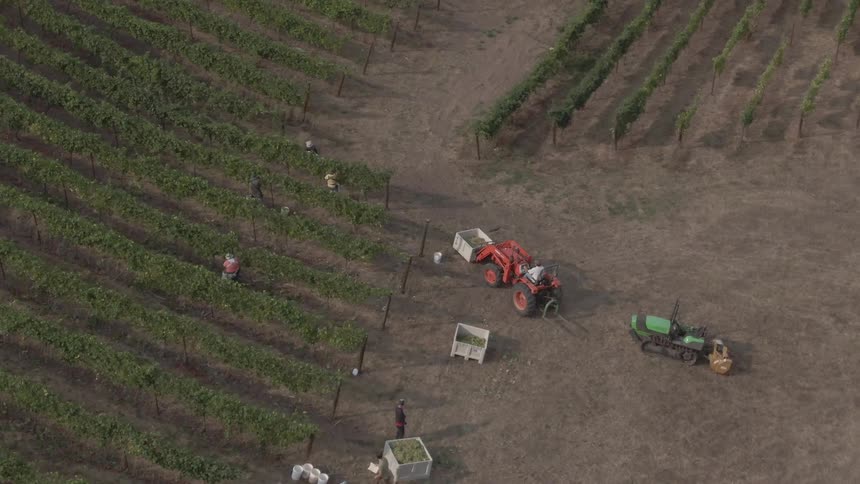Tractors are working on the farm
