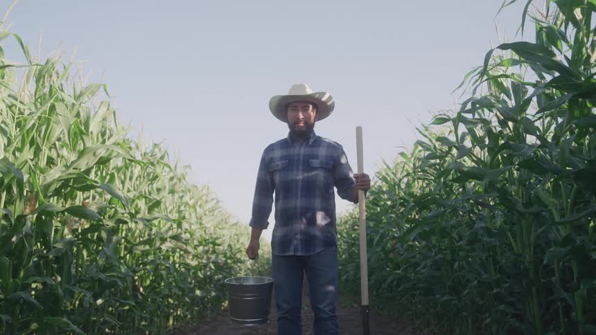 Man in a hat holding a hoe in a bucket in the middle of a corn field