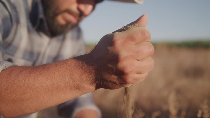 Farmer outdoors pouring soil onto the ground