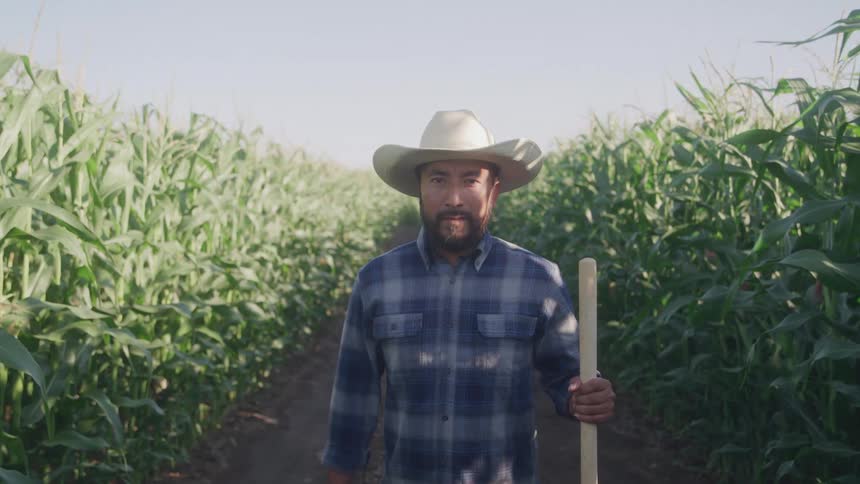 A farmer looks at the camera