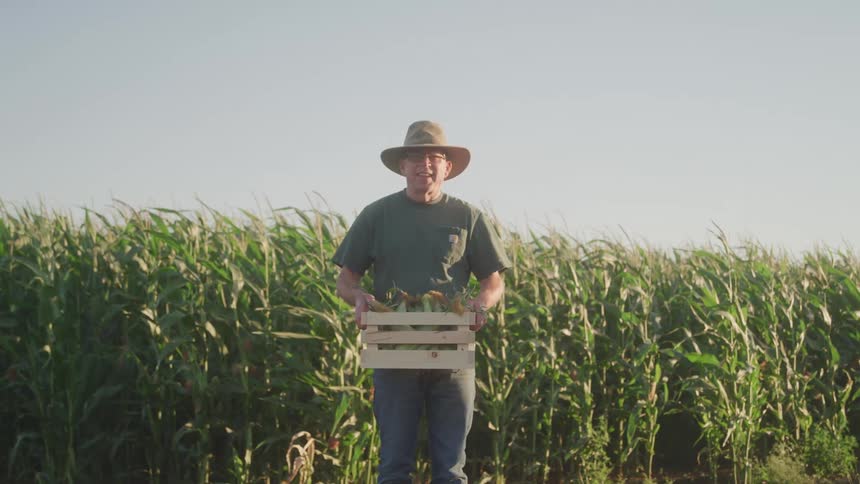 Cheery farmer holding wood crate with harvested vegetables standing in front of his crops