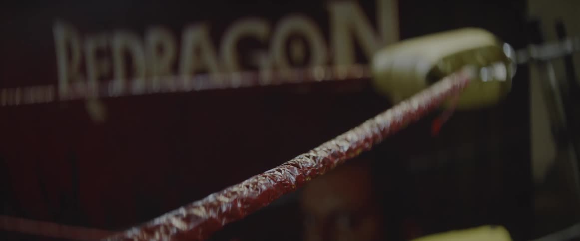 The ropes of a fighting ring are stretched taut