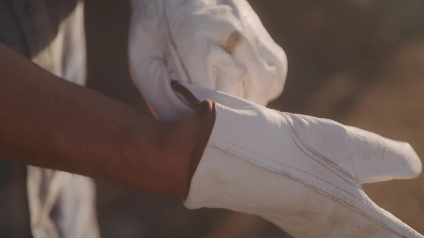 Pair of hands putting on white gloves