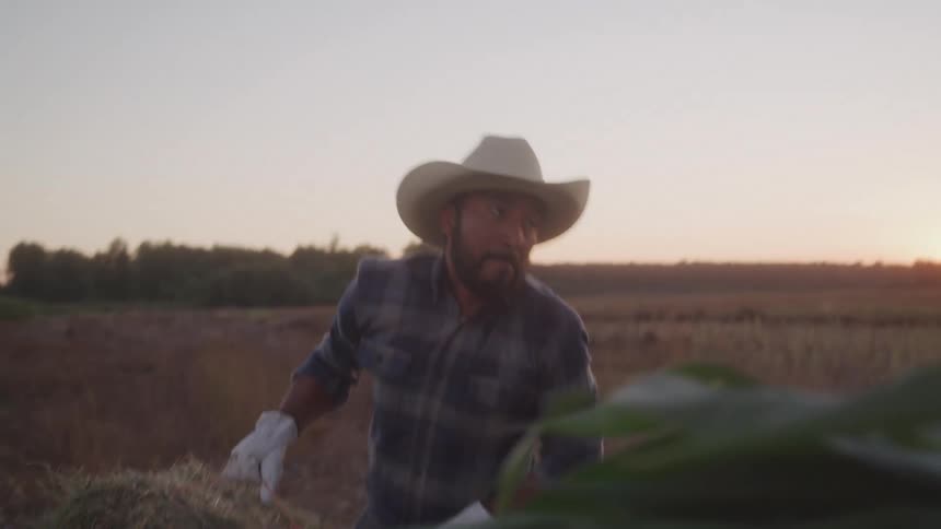 Male ranch hand on a field loading hale bales onto truck