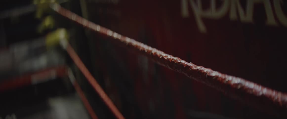The ropes of a wrestling ring are shown