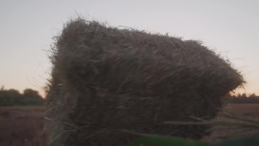 A farmer loads hay into a pickup truck at dusk on a farm