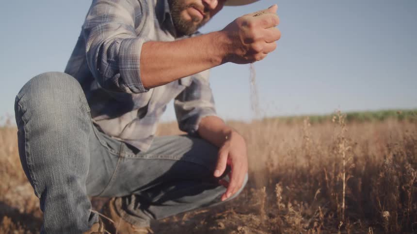 Farmer in hat picking up grain and soil from an agricultural field