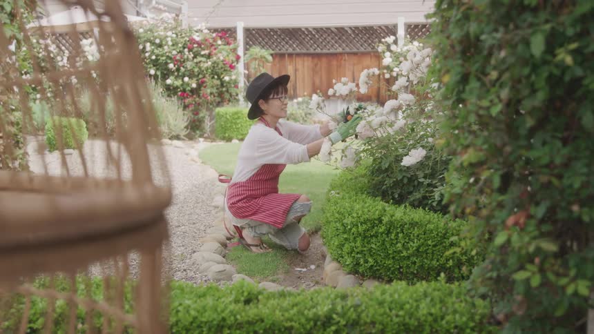 Woman with gloves gardening white flowers in a backyard