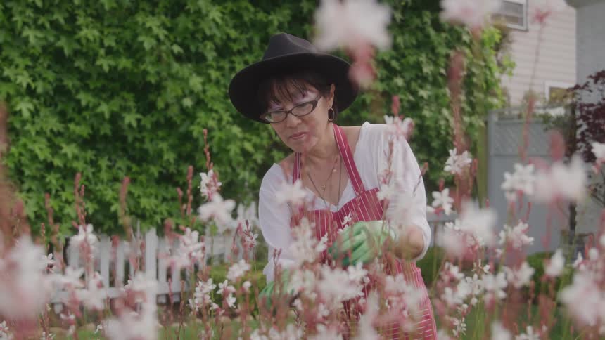 Woman in a hat trimming dry leaves from a flower bed in a backyard