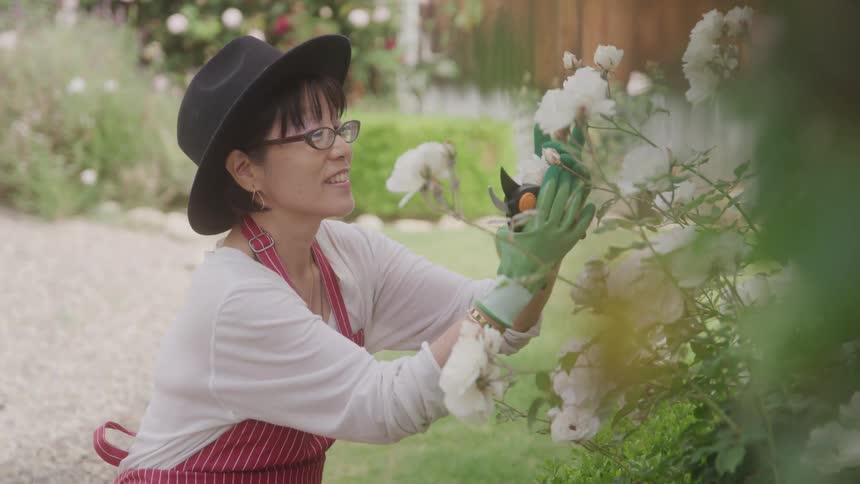 Woman gardening white flowers in a backyard