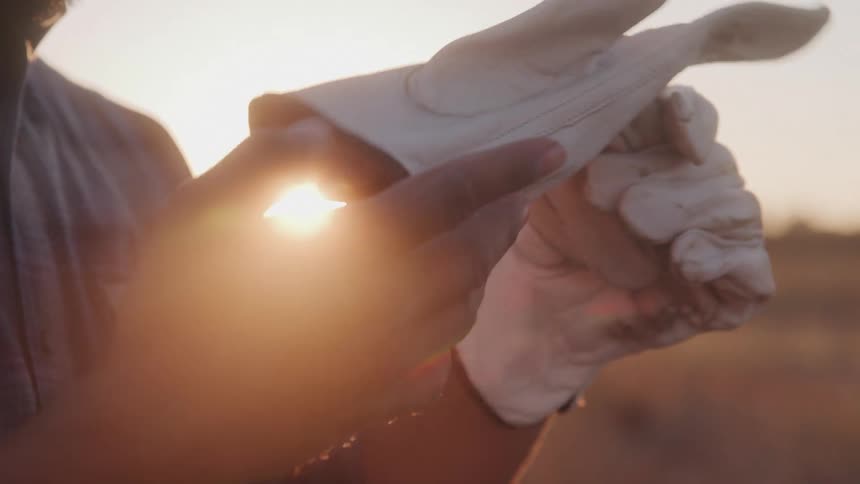 A man wearing white gloves stands in a field at sunset