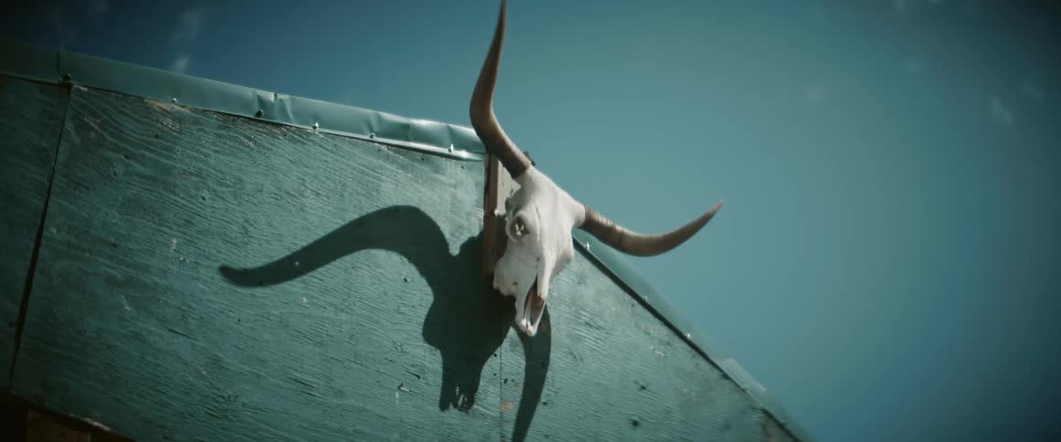 An animal skull with two horns on the back of a carriage at midday