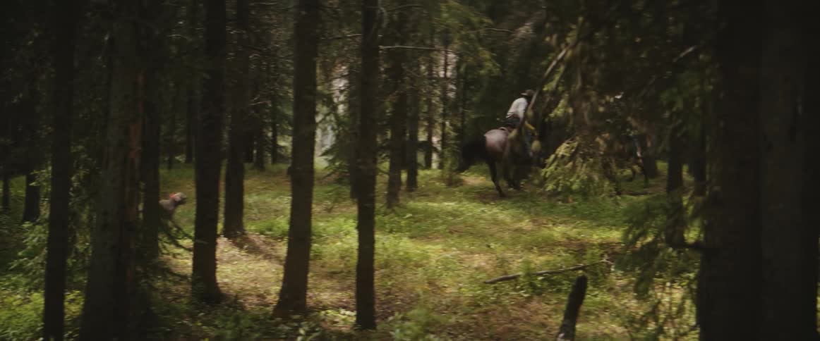 Dog chases a pair of horse riders riding through the woods