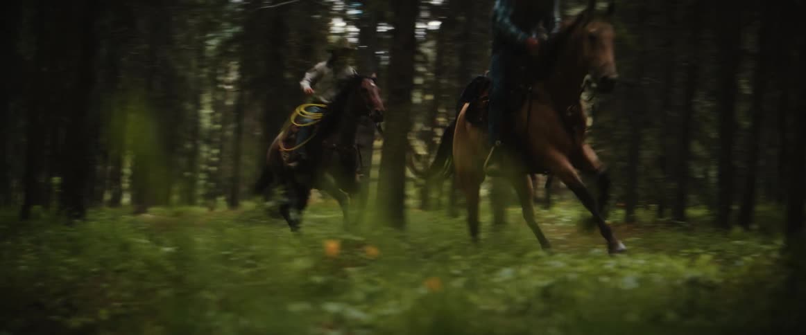 Two horse riders canter through the forest during a summer day