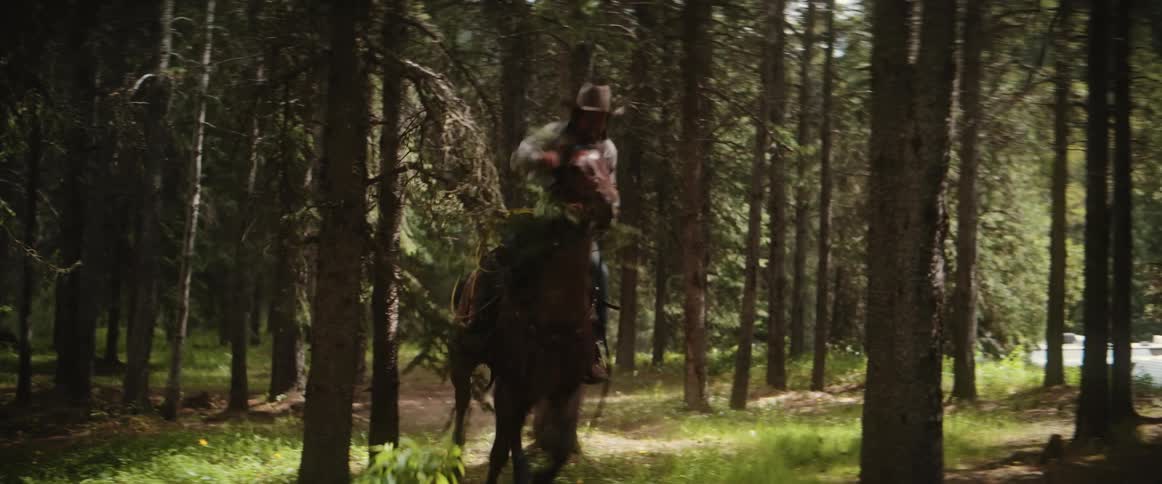 Dog runs after two horse riders racing through the trees in a conifer forest during the daytime