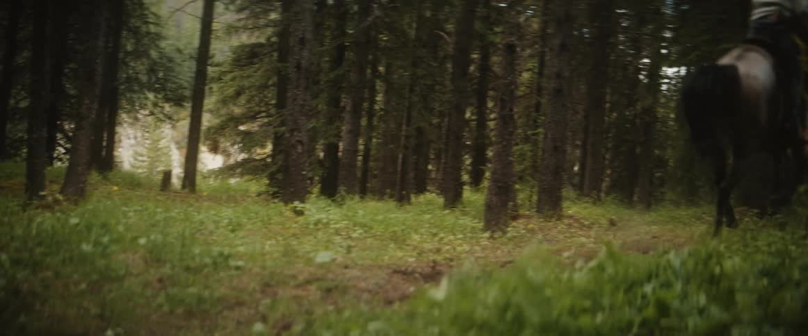 Two people ride horses through a forest trail while a dog runs behind