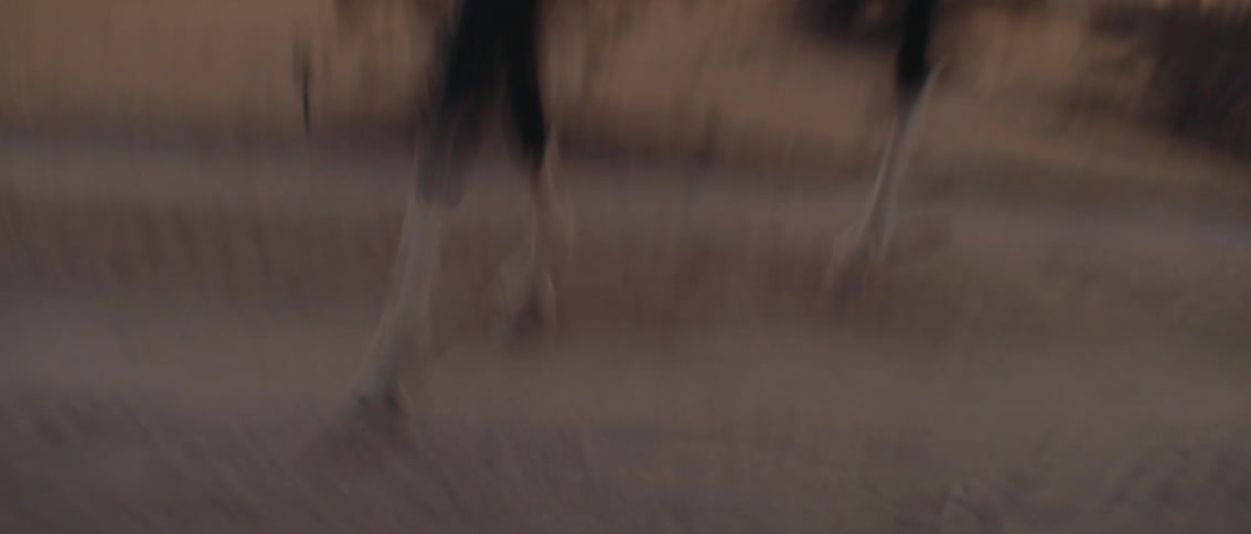 A man riding a colt in the wilderness at sundown