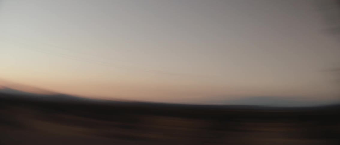 The desert is filled with shrubs