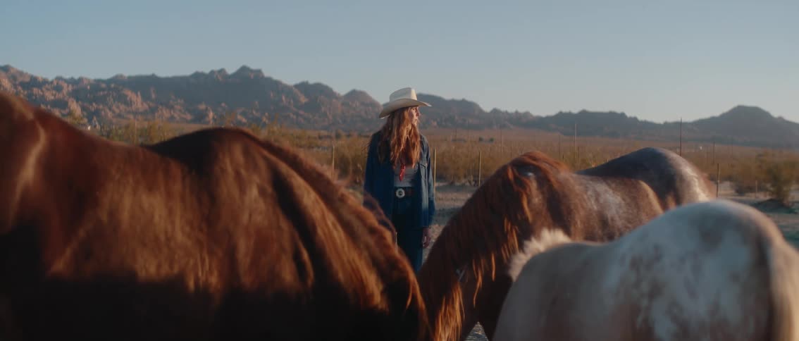 A cowgirl stands amidst a herd of horses in a dusty open field under a clear sky with mountains in the distance the scene conveys a sense of freedom and a connection with nature and animals