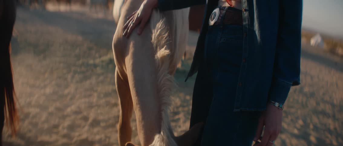 Woman petting a whitehaired horse