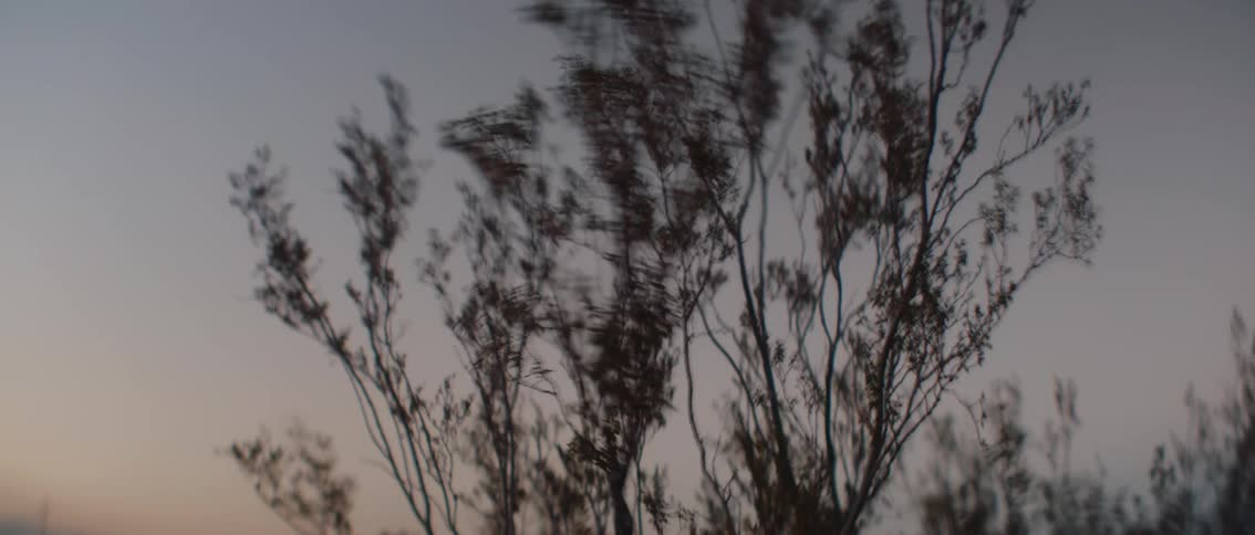 The video shows blurred branches and leaves against a twilight sky creating a sense of movement as if viewed from a moving vehicle the overall impression is one of transition or travel with the natural elements passing by rapidly
