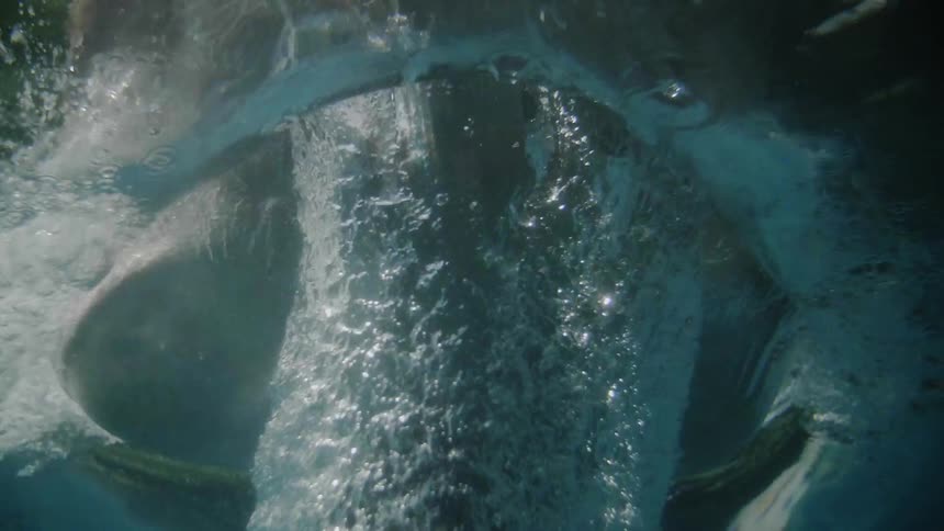 A man dives headfirst into a swimming pool