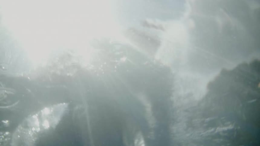 Someone dives into a body of water under bright sunshine