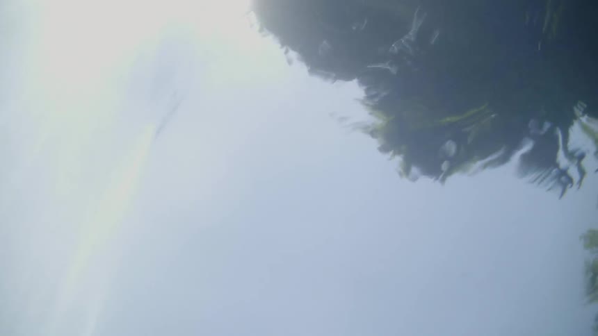 Water gently waves while it reflects a sunny sky and trees
