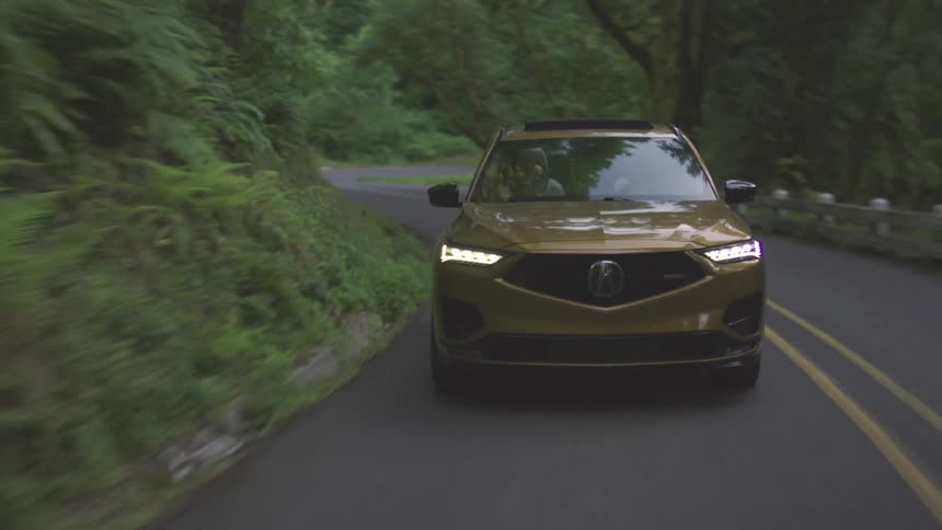 A golden colored suv with its headlights on drives down a winding asphalt road with a double yellow line passing by a dense forest of green trees