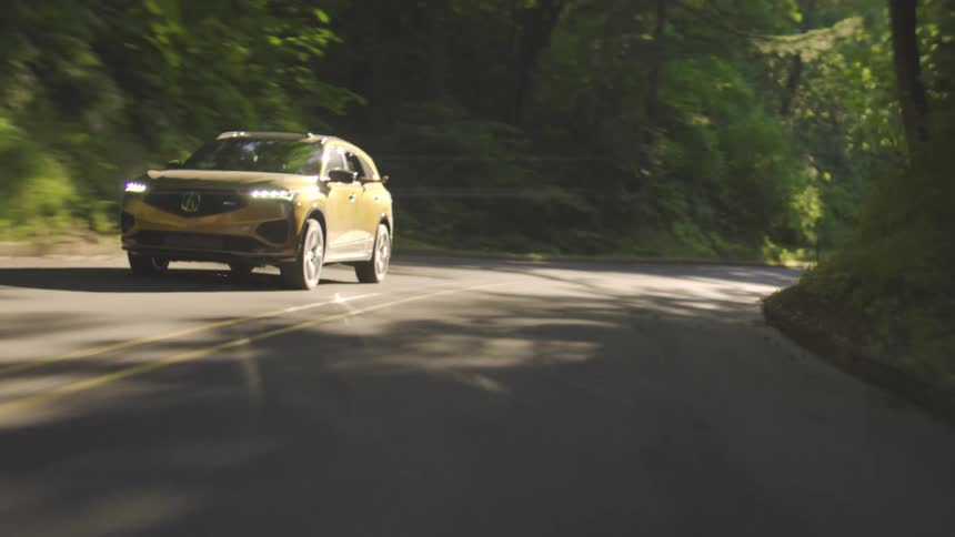 A car drives down a road surrounded by woodland on each side