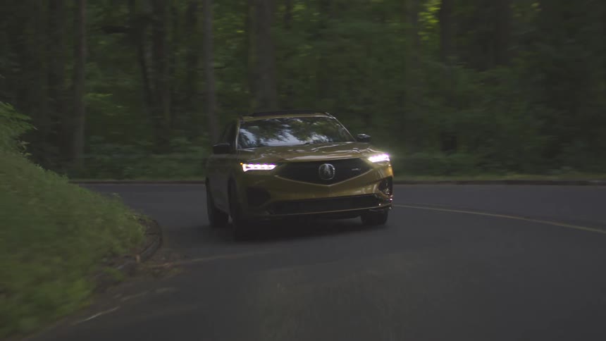 A car drives down a winding road surrounded by forest on both sides