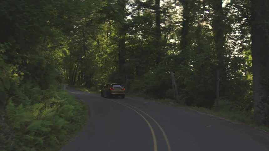 A car drives down a winding forest road during golden hour