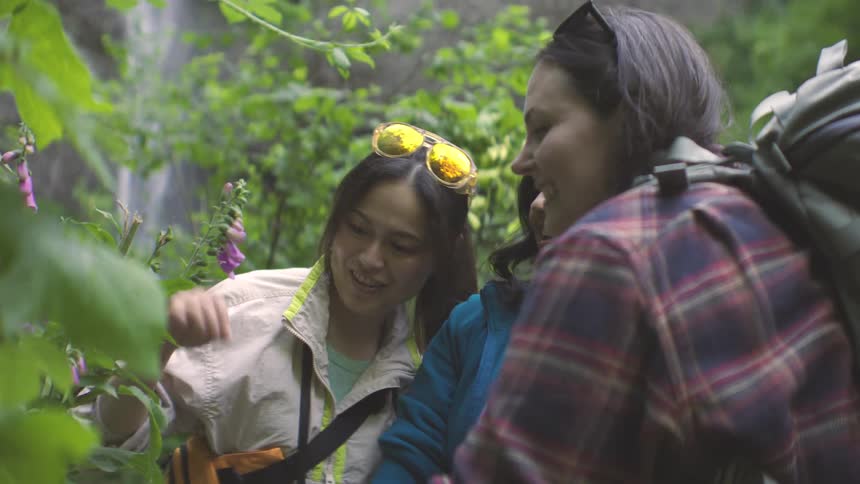 Three women inspect a plant structure in the woods during a hiking session laughing and talking about the plant at midday