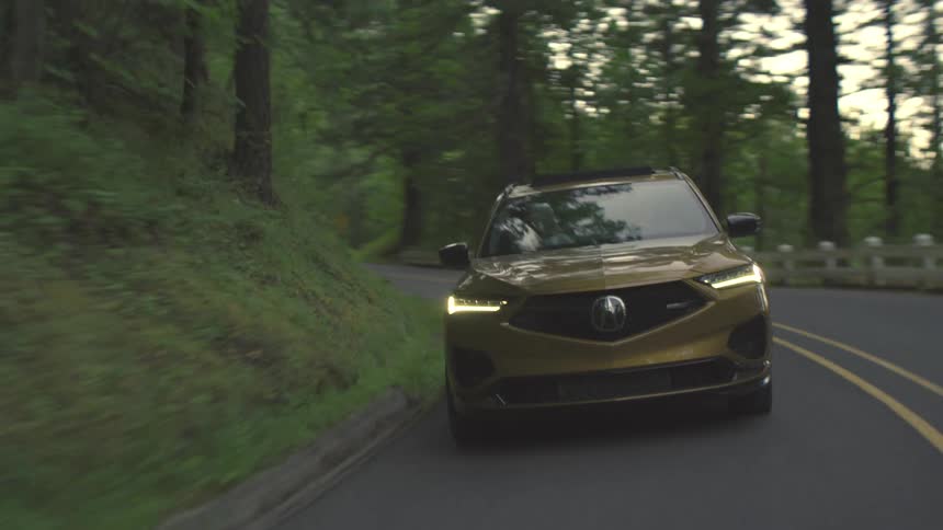 The video shows a goldcolored suv driving on a winding twolane road surrounded by lush green foliage the car has its headlights on as it drives through the shaded treelined road