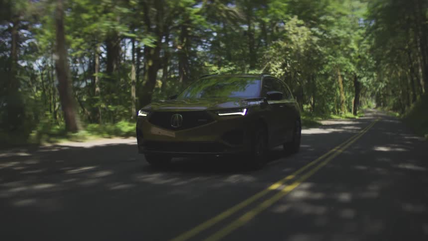 A golden colored suv drives down an asphalt road with a double yellow line toward the camera surrounded by a dense forest with tall green trees and dappled sunlight