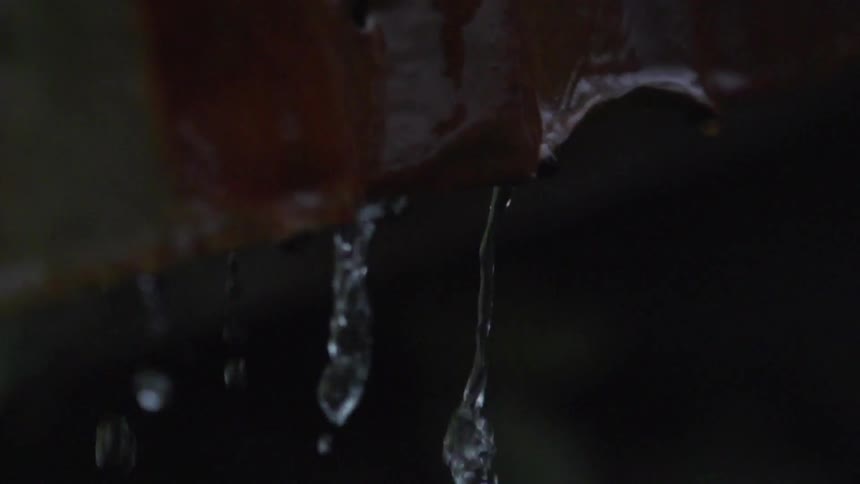Water dripping in slow motion
