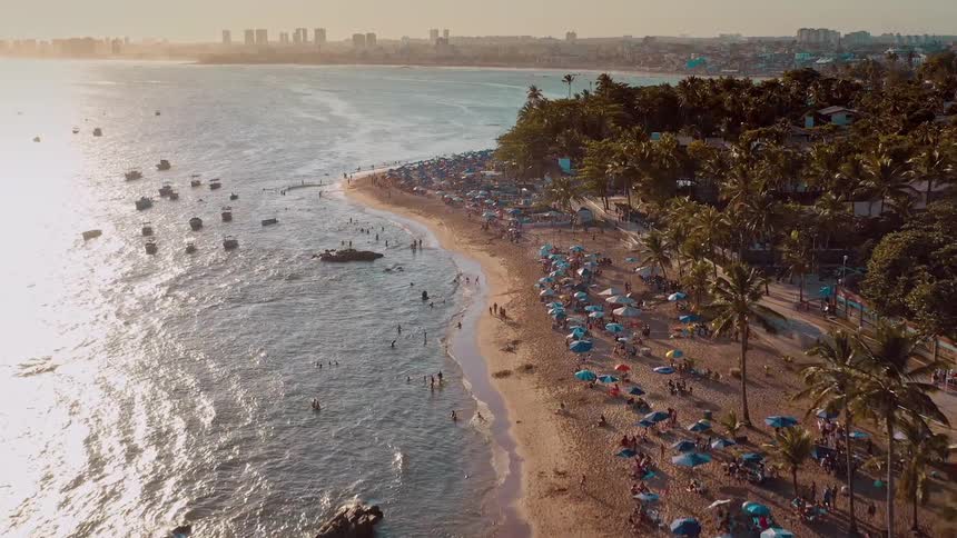 A beach filled with people at midday with palm trees lining the shore