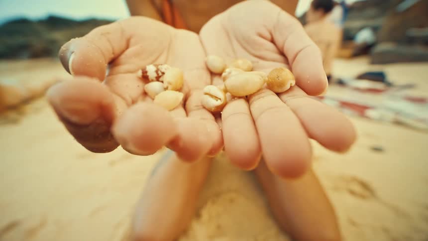The video shows a person holding a handful of seashells and small pebbles in their cupped hands the background is a sandy beach with two people out of focus