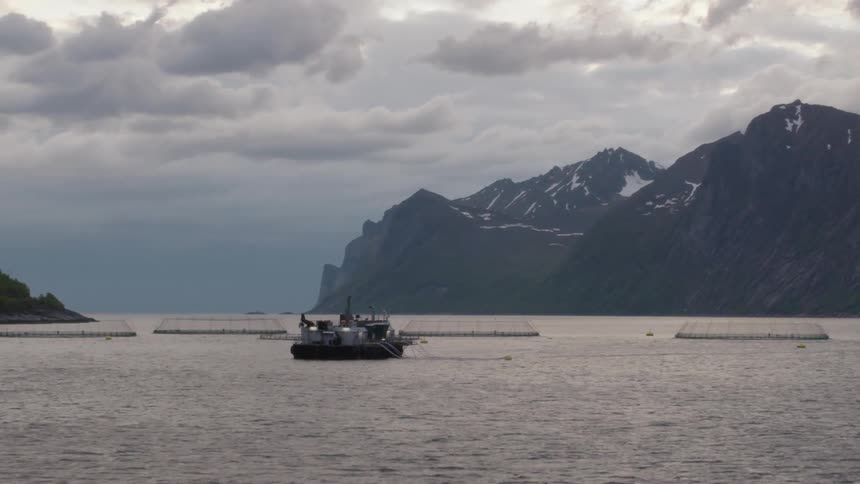 Boat sails near marine farming structures in a fjord with mountains in the background