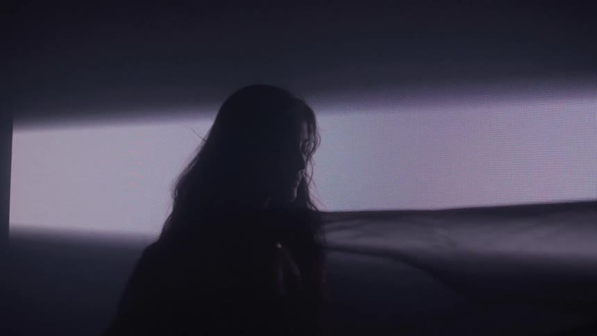 Silhouette of a woman in a lowlight indoor environment
